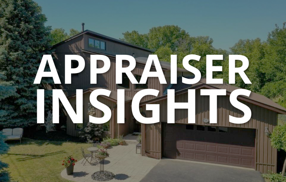 What appraisers bring to the table